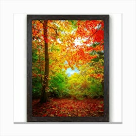 Autumn Frame Embracing Bright Foliage Maple Leaves Transitioning From Green To Vivid Shades Of Oran Canvas Print