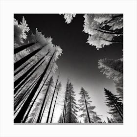 Infrared Forest Canvas Print