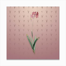 Vintage Corn Lily Botanical on Dusty Pink Pattern n.1055 Canvas Print