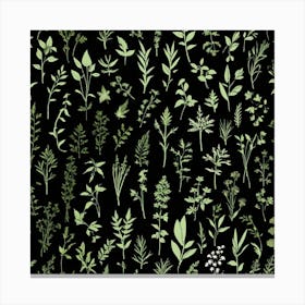 Green Leaves On Black Background Canvas Print