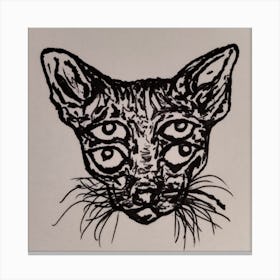 Four eyes meow Canvas Print