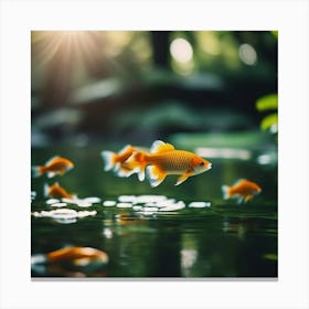 Goldfish Swimming In a forest pond Canvas Print