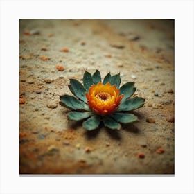 Cactus Flower 2 Canvas Print