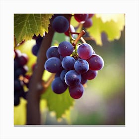 Grapes On The Vine 45 Canvas Print