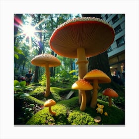 Mushrooms In The Forest 28 Canvas Print