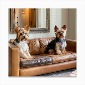 Deeva & Dasher Yorkshire Terrier 4 Canvas Print