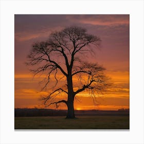 Sunset Over A Tree Canvas Print