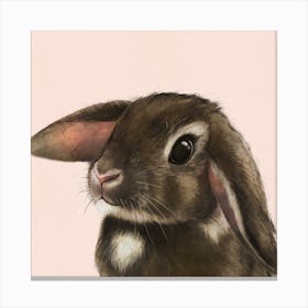 Baby Bunny Square Canvas Print