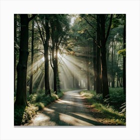 Road In The Woods Canvas Print