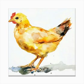 Chicken Watercolor Painting Canvas Print