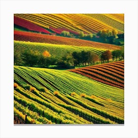 Colorful Vineyards Canvas Print