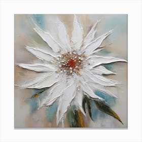 Edelweiss flower 2 Canvas Print