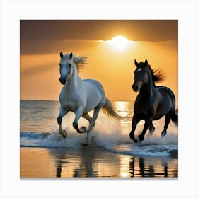 A White Horse And A Black Horse Run On The Sea And The Sun Is Golden In The Sunset Be Reflected In(1) Canvas Print