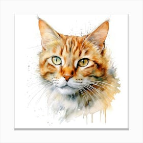 Suphalak Cat Portrait 2 Canvas Print