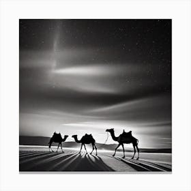 Camels In The Desert 3 Canvas Print