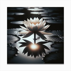 Lotus Flower 23 Canvas Print