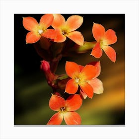 Orange Flowers 1 Canvas Print