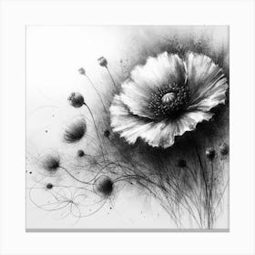 Poppy Canvas Print