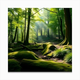 Mossy Forest 3 Canvas Print