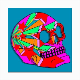 Stars Skull Canvas Print