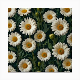 Default Daisy Blooms In Green Square Canvas Print 3 Canvas Print