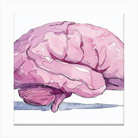 Pink Brain Canvas Print