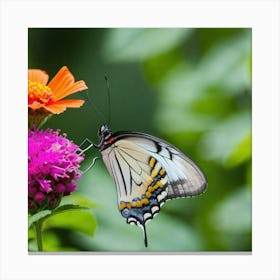 Butterfly On A Flower 6 Canvas Print