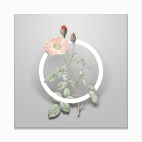 Vintage Sparkling Rose Minimalist Botanical Geometric Circle on Soft Gray n.0337 Canvas Print