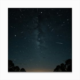 Starry Night Sky Canvas Print