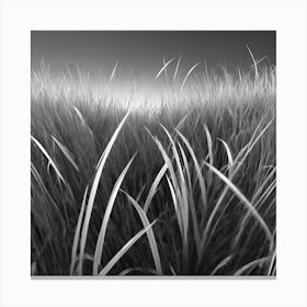 Black And White Grass 1 Canvas Print