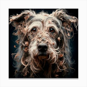 Old Dog 09 Canvas Print