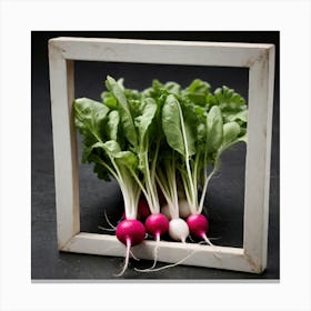 Radishes In A Frame 18 Canvas Print