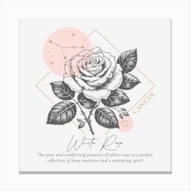 White Rose. Canvas Print