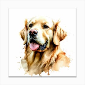 Golden Retriever 3 Canvas Print