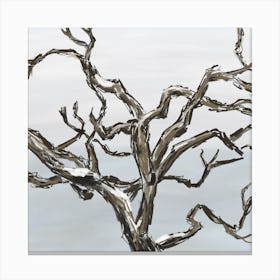 Winter Snow Tree Branches Canvas Print