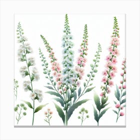 Flowers of Mignonette 3 Canvas Print