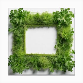 Frame Of Parsley 1 Canvas Print