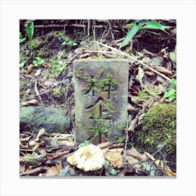 Roadside Marker, Japan Canvas Print