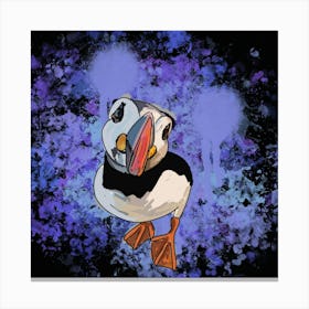 Puffin Canvas Print