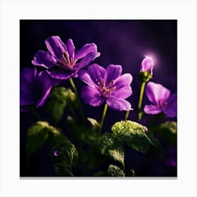 Purple Geraniums Canvas Print