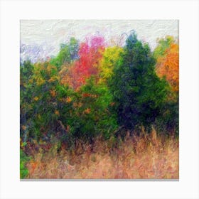 Autumn In The Woods 1 Canvas Print