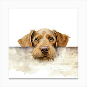 Wirehaired Vizsla Dog 3 Canvas Print