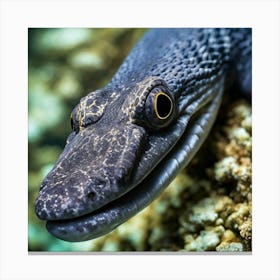 Eel fish 1 Canvas Print