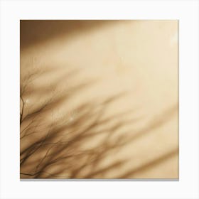 Shadow Of A Tree 5 Canvas Print