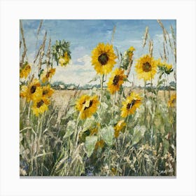 Summer Sunflowers In Aston Field 1 Canvas Print