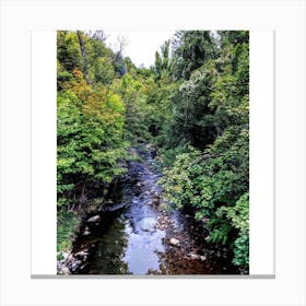 French River Canvas Print