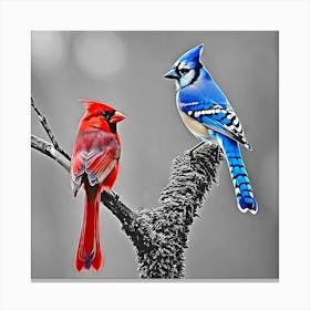 Blue And Red Cardinals Canvas Print