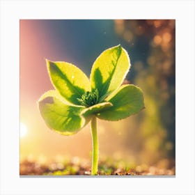 Green Leaf Sprouting From The Ground 1 Canvas Print