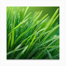 Green Grass 28 Canvas Print