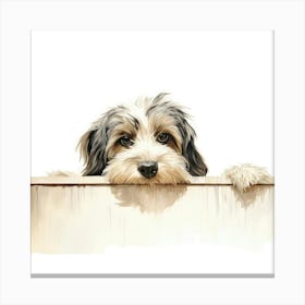 Tibetan Terrier Dog Canvas Print